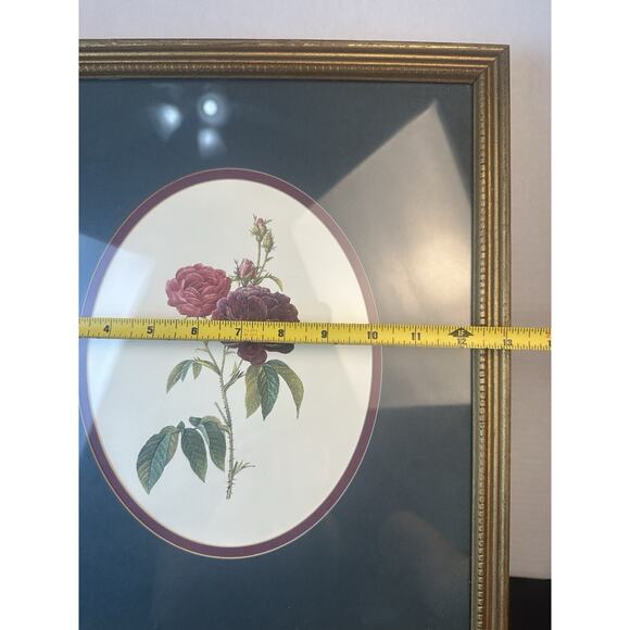 Botanical Framed Picture Classic Decor 13x15 Antique Gold Frame - Picture 7 of 9